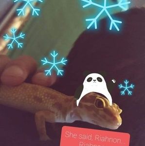 Meet your Posher, Sam